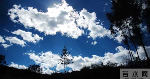 能在老狼失恋的时候陪他一起抹眼泪的男人,只有高晓松了