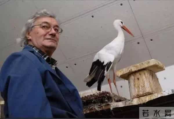 异地17年,每年飞13000公里相见,却在生子后离开!这个“负心汉”看哭了全世界……