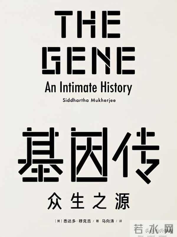 书香校园——最是书香能致远 悦读寻芳在树德