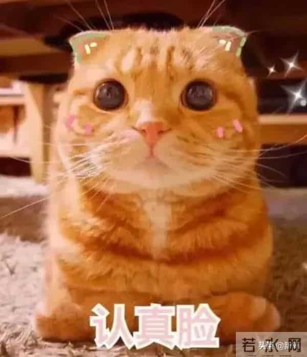 顶级豪门孙女赴韩吸脂隆胸后死亡，这是选了什么破野鸡医院啊