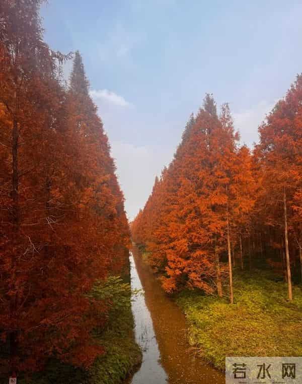 江苏11、12月最适合赏秋的6个好去处,带娃赏景两不误,选一个冲