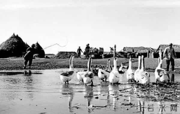 1954年,黑龙江男子与冒牌妻子同床共枕52天,才知道真妻子已遇害