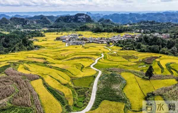 今日秋分,节日快乐!