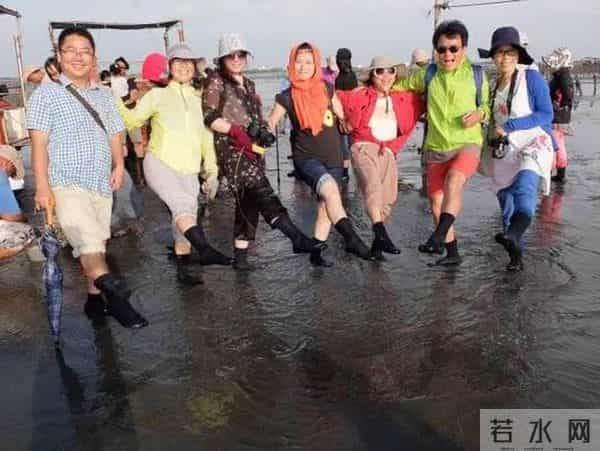 瑶瑶台湾看湿地——第二天：穿上特制鞋，牛车采生蚝