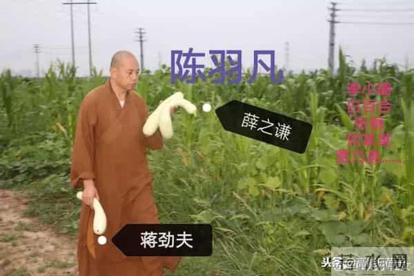 飞轮海、飞儿乐团、5566……昙花一现的宝岛组合,内斗却堪比宫斗剧