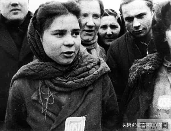 二战德国便衣队传奇,“二八大杠夜袭苏军连部”竟然只是因为这?