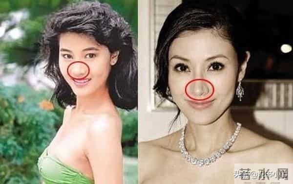 公主脸配牛鼻环，韩国逃跑女星新花招，酷似金喜善的脸会变啥样