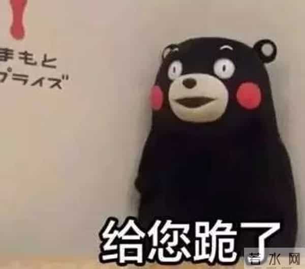 大写加粗的段子手,里约奥运,白岩松都说了些啥?