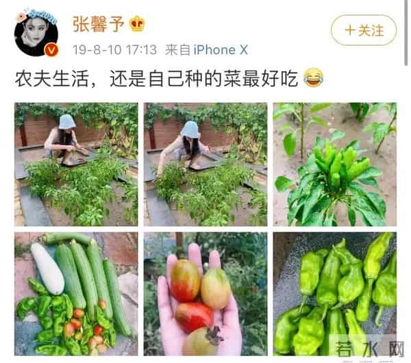 张馨予上位史：从“黑料女王”到荣誉军嫂，她如何“一嫁改命”？