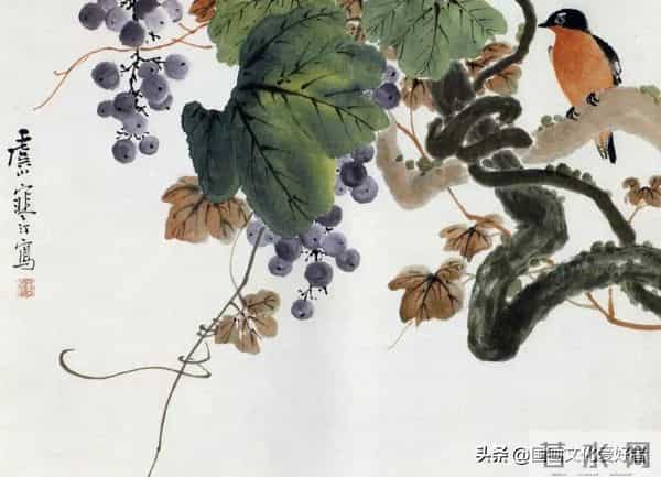 国画大家江寒汀的写意花鸟作品赏析！