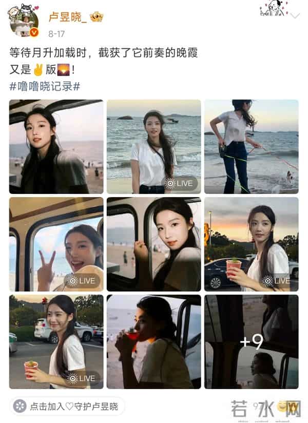 沈月、张柏芝、卢昱晓、陈昊森……跟着明星游厦门→