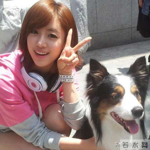 韩娱记忆 - 皇冠飘落 T-ara成员的婚姻