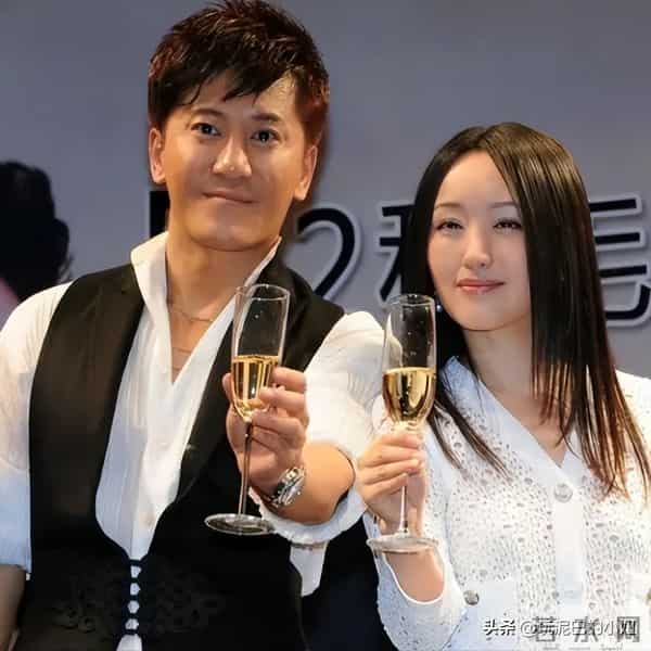 隐瞒了28年后,杨钰莹终于坦白:如果当年接受毛宁,现在早已当妈_0