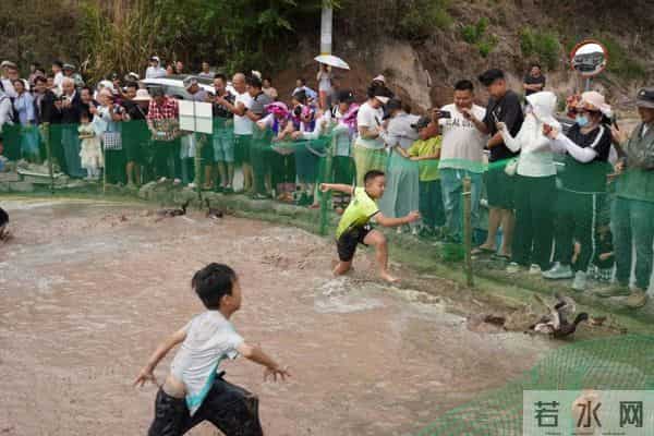“芋”见甸尾 寻梦乡愁:建水民俗活动精彩纷呈
