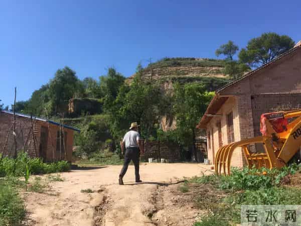 偷骨灰“配阴婚”，这不是阴间事，是人间世