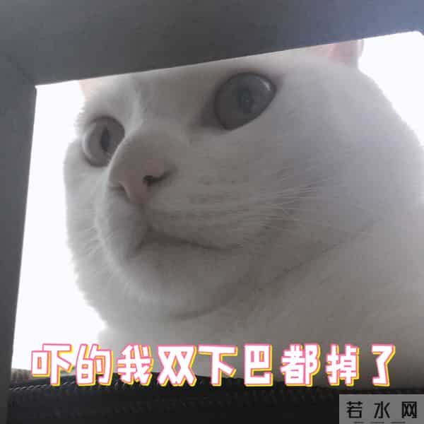 难怪电视里只有上半身,镜头下移后,是不能看的尴尬全景