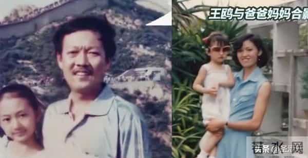 因“夜光剧本”丑闻打开知名度，“无情悔婚女”王鸥是怎样上位的