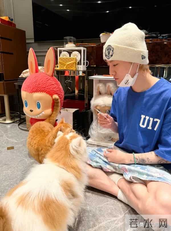 鹿晗晒8000万豪宅内景,用60万音响880纸巾盒,故意露膝盖引争议