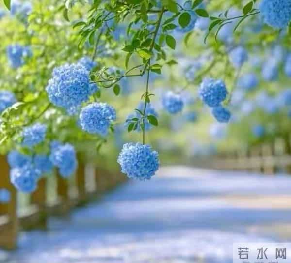 老年女人花心有哪几种表现？过来人告诉你4种表现，看你占了几种