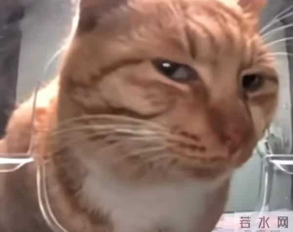 五一档最大尺度,他太敢演了