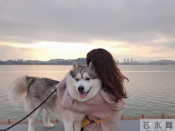 高情商女人用这 3 个 “吸引术”，让男人主动宠你到骨子里