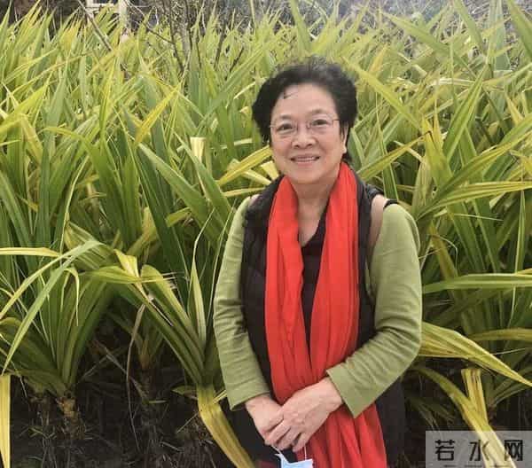 铁道兵战友"怀念战友”征文颁奖晚会