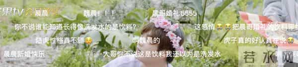 魏晨翻红,意料之中