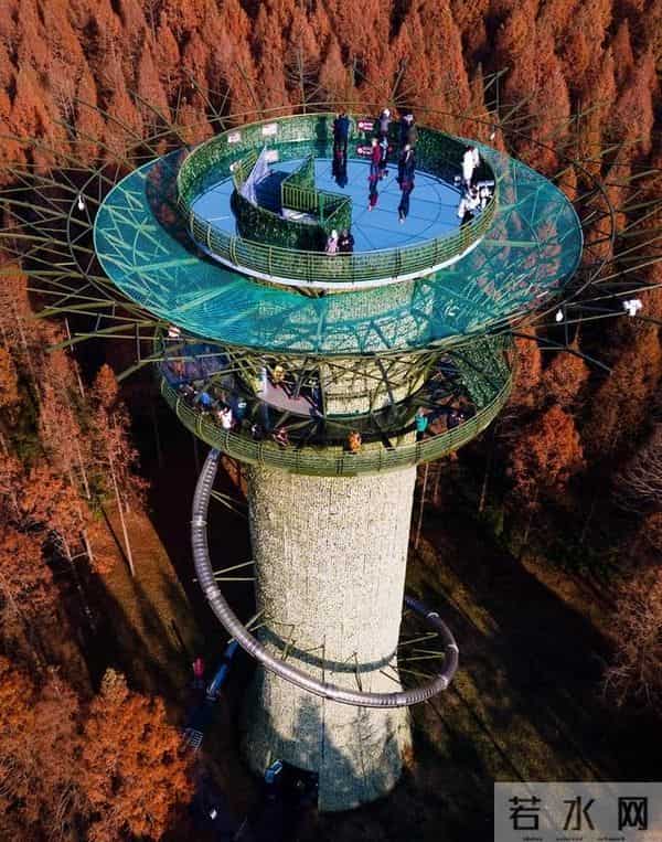 江苏11、12月最适合赏秋的6个好去处,带娃赏景两不误,选一个冲