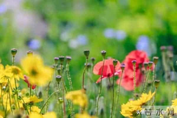 我比想象中更爱你,也比表面更想你,你却从未察觉我的深情!