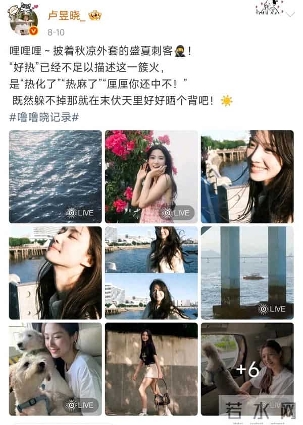 沈月、张柏芝、卢昱晓、陈昊森……跟着明星游厦门→