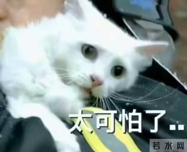 别再逼她演这出戏