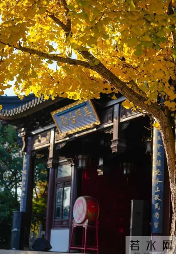 江苏11、12月最适合赏秋的6个好去处,带娃赏景两不误,选一个冲