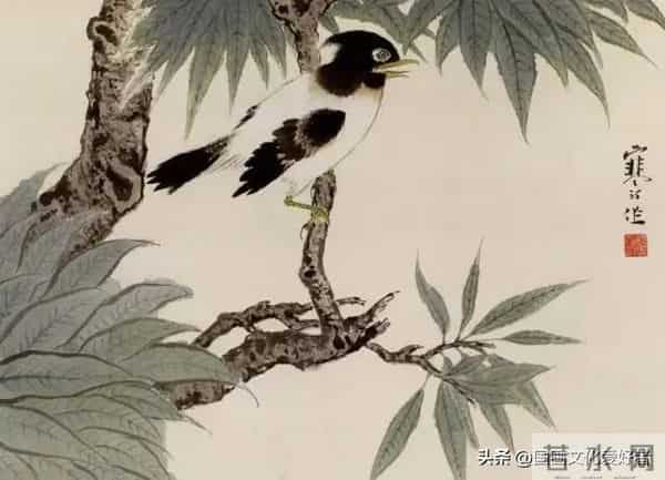 国画大家江寒汀的写意花鸟作品赏析！