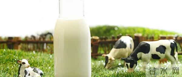 新国标已实施，您的乳制品买对了吗？