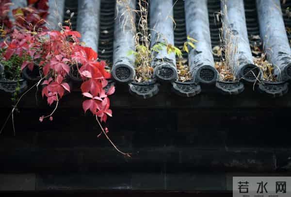 今日秋分,节日快乐!