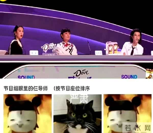 51岁无妻无子、半退休,看老好人何炅的现状,尴尬处境藏不住了