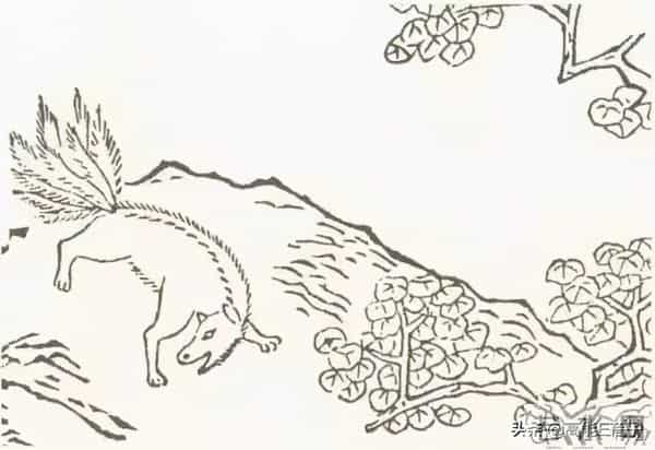 都这样了,粉丝还觉得不是韩剧在抄袭我们?