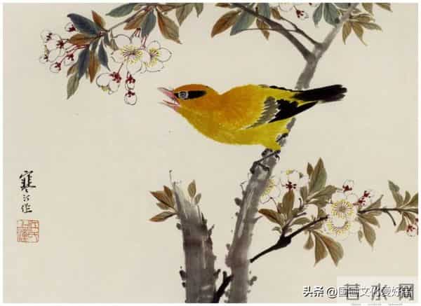 国画大家江寒汀的写意花鸟作品赏析！