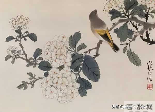 国画大家江寒汀的写意花鸟作品赏析！