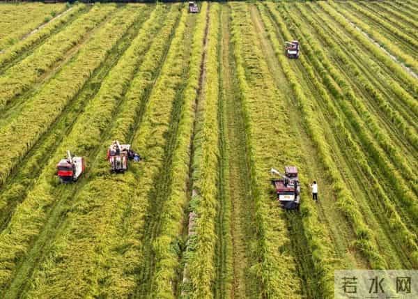 今日秋分,节日快乐!