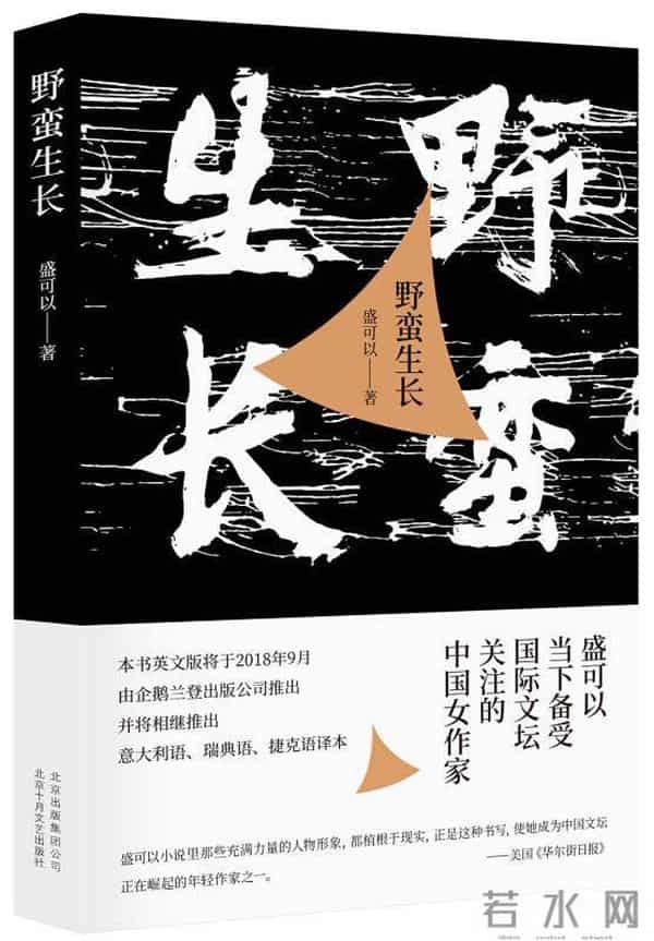 名人堂·访谈｜小说家盛可以：血液的沸点决定了我写什么