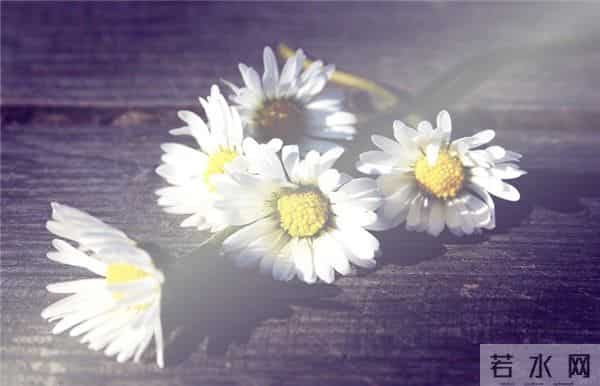 四十段浪漫情话:你呀,手给我牵,以后悲喜都在我身边