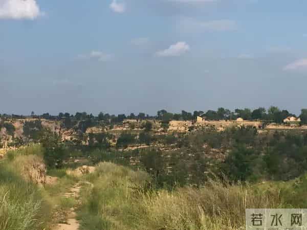 偷骨灰“配阴婚”，这不是阴间事，是人间世