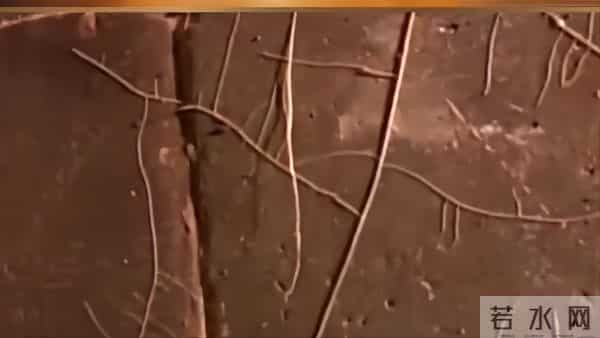 2005年,朱元璋儿子墓内发现6具少女遗骸,开墓门前出现一片白雾