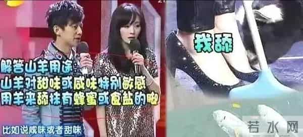 7位口碑逆风翻盘的明星:易烊千玺成实力派,热依扎凭演技获认可