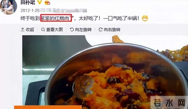 "鸠占鹊巢"田朴珺:肉搏梁朝伟,抱汤臣太子金大腿,嫁王石当阔太