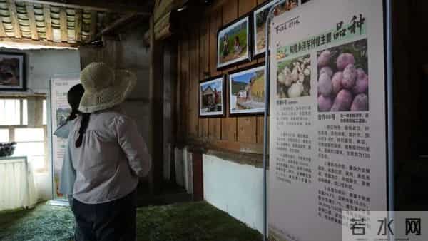 “芋”见甸尾 寻梦乡愁:建水民俗活动精彩纷呈