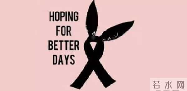 晚安｜愿世界和平，愿安心吃瓜