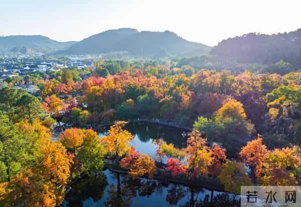 江苏11、12月最适合赏秋的6个好去处,带娃赏景两不误,选一个冲