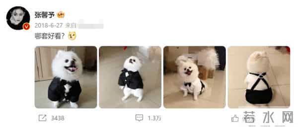 张馨予：我这辈子最正确的决定，就是嫁了个普通丈夫